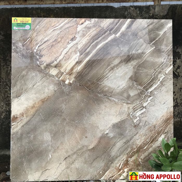 Gạch lát  nền 8080 phòng khách giá rẻ HONGAPPOLLO